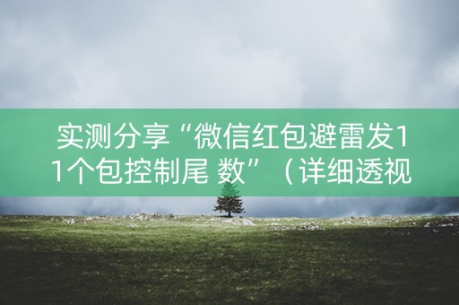 实测分享“微信红包避雷发11个包控制尾 数”（详细透视教程）-哔哩哔哩