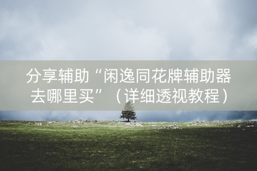 分享辅助“闲逸同花牌辅助器去哪里买”（详细透视教程）-哔哩哔哩