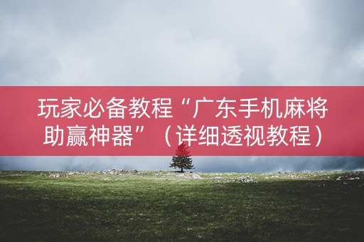 玩家必备教程“广东手机麻将助赢神器”（详细透视教程）-哔哩哔哩