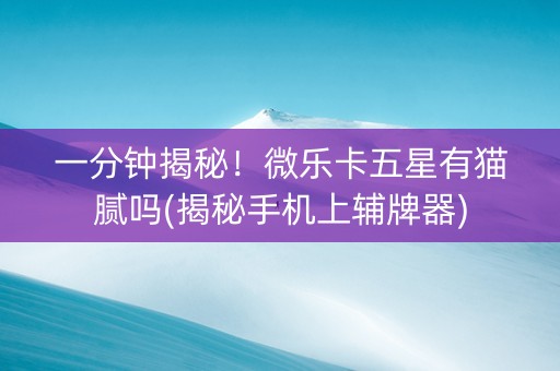 一分钟揭秘！微乐卡五星有猫腻吗(揭秘手机上辅牌器)