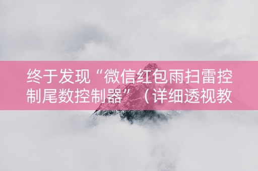 终于发现“微信红包雨扫雷控制尾数控制器”（详细透视教程）-哔哩哔哩