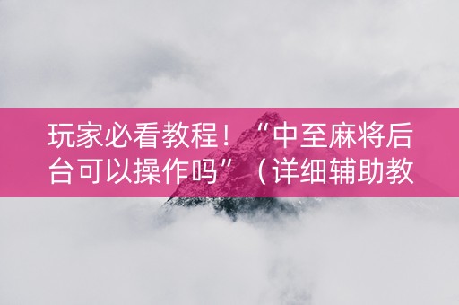 玩家必看教程！“中至麻将后台可以操作吗”（详细辅助教程）-哔哩哔哩