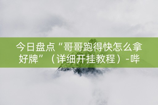今日盘点“哥哥跑得快怎么拿好牌”（详细开挂教程）-哔哩哔哩