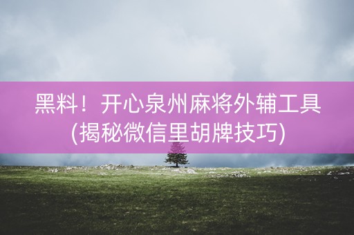 黑料！开心泉州麻将外辅工具(揭秘微信里胡牌技巧)