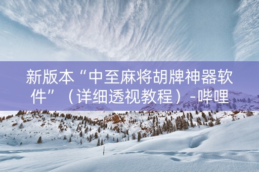新版本“中至麻将胡牌神器软件”（详细透视教程）-哔哩哔哩