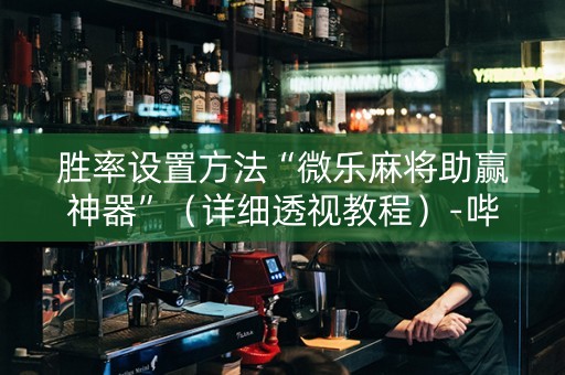 胜率设置方法“微乐麻将助赢神器”（详细透视教程）-哔哩哔哩