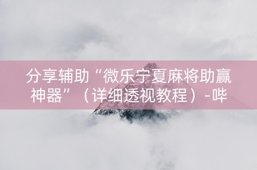 分享辅助“微乐宁夏麻将助赢神器”（详细透视教程）-哔哩哔哩