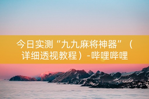 今日实测“九九麻将神器”（详细透视教程）-哔哩哔哩