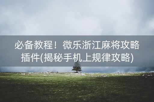 必备教程！微乐浙江麻将攻略插件(揭秘手机上规律攻略)