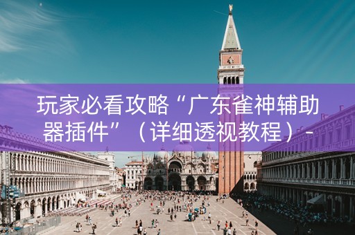 玩家必看攻略“广东雀神辅助器插件”（详细透视教程）-哔哩哔哩