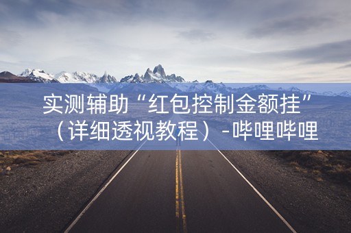 实测辅助“红包控制金额挂”（详细透视教程）-哔哩哔哩