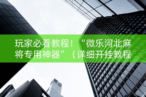 玩家必看教程！“微乐河北麻将专用神器”（详细开挂教程）-哔哩哔哩