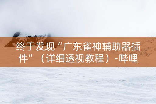 终于发现“广东雀神辅助器插件”（详细透视教程）-哔哩哔哩