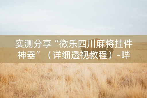 实测分享“微乐四川麻将挂件神器”（详细透视教程）-哔哩哔哩