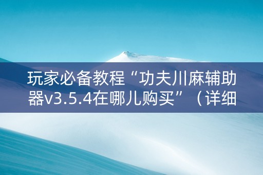 玩家必备教程“功夫川麻辅助器v3.5.4在哪儿购买”（详细透视教程）-哔哩哔哩