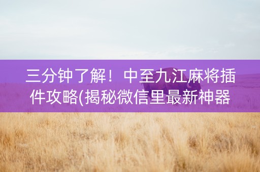 三分钟了解！中至九江麻将插件攻略(揭秘微信里最新神器下载)