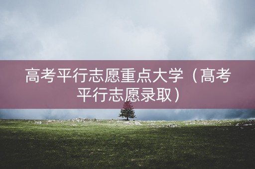 高考平行志愿重点大学（髙考平行志愿录取）