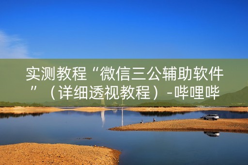 实测教程“微信三公辅助软件”（详细透视教程）-哔哩哔哩