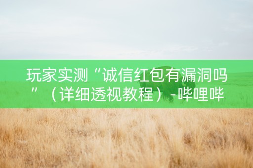 玩家实测“诚信红包有漏洞吗”（详细透视教程）-哔哩哔哩