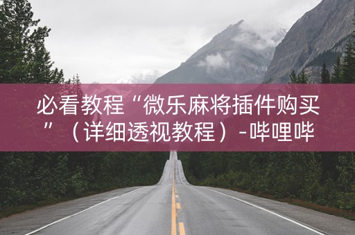 必看教程“微乐麻将插件购买”（详细透视教程）-哔哩哔哩