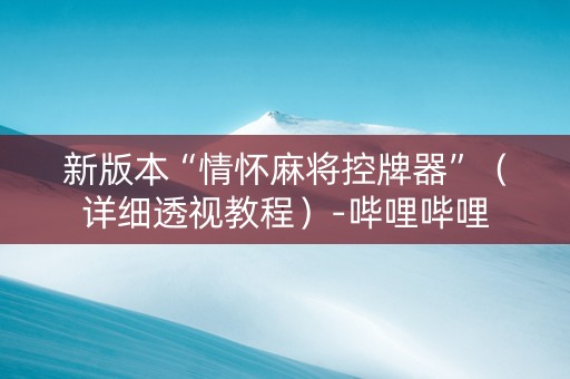 新版本“情怀麻将控牌器”（详细透视教程）-哔哩哔哩