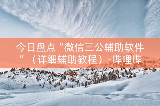 今日盘点“微信三公辅助软件”（详细辅助教程）-哔哩哔哩