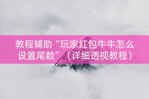 教程辅助“玩家红包牛牛怎么设置尾数”（详细透视教程）-哔哩哔哩