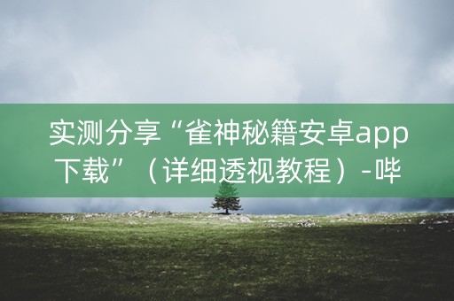 实测分享“雀神秘籍安卓app下载”（详细透视教程）-哔哩哔哩