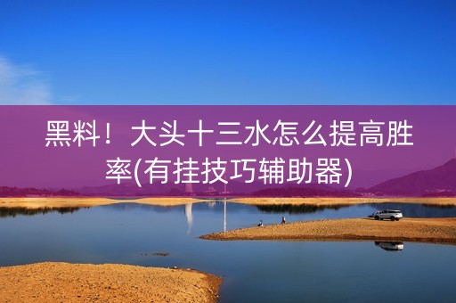 黑料！大头十三水怎么提高胜率(有挂技巧辅助器)