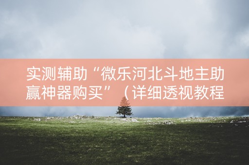 实测辅助“微乐河北斗地主助赢神器购买”（详细透视教程）-哔哩哔哩