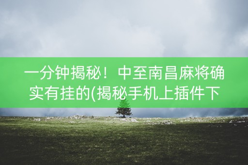 一分钟揭秘！中至南昌麻将确实有挂的(揭秘手机上插件下载)