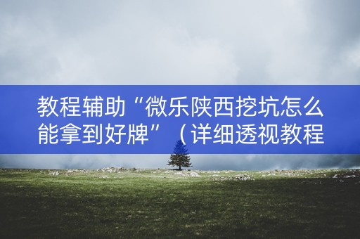 教程辅助“微乐陕西挖坑怎么能拿到好牌”（详细透视教程）-哔哩哔哩