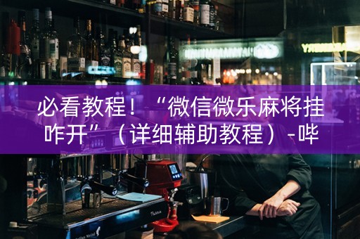 必看教程！“微信微乐麻将挂咋开”（详细辅助教程）-哔哩哔哩
