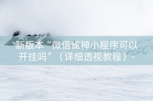 新版本“微信雀神小程序可以开挂吗”（详细透视教程）-哔哩哔哩