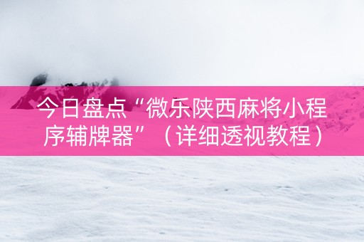 今日盘点“微乐陕西麻将小程序辅牌器”（详细透视教程）-哔哩哔哩