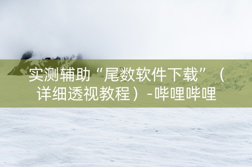 实测辅助“尾数软件下载”（详细透视教程）-哔哩哔哩