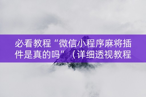 必看教程“微信小程序麻将插件是真的吗”（详细透视教程）-哔哩哔哩