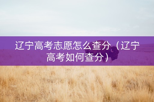 辽宁高考志愿怎么查分（辽宁高考如何查分）