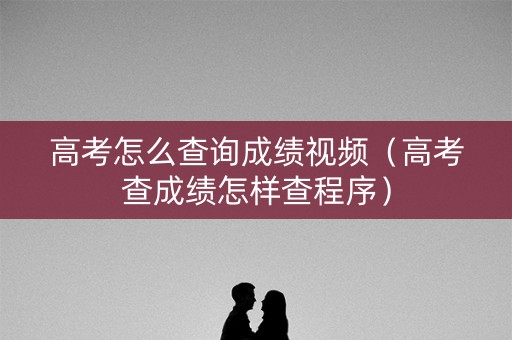 高考怎么查询成绩视频（高考查成绩怎样查程序）