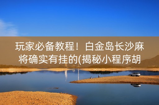 玩家必备教程！白金岛长沙麻将确实有挂的(揭秘小程序胡牌神器)