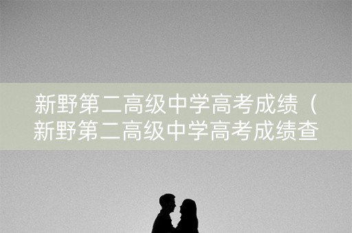 新野第二高级中学高考成绩（新野第二高级中学高考成绩查询）