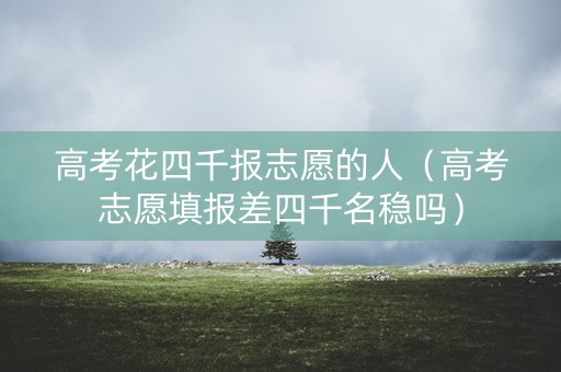 高考花四千报志愿的人（高考志愿填报差四千名稳吗）