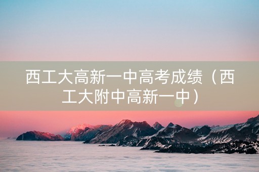 西工大高新一中高考成绩（西工大附中高新一中）