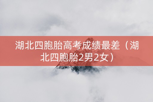 湖北四胞胎高考成绩最差（湖北四胞胎2男2女）