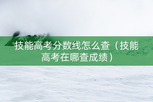 技能高考分数线怎么查（技能高考在哪查成绩）