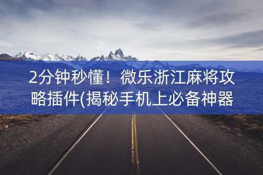 2分钟秒懂！微乐浙江麻将攻略插件(揭秘手机上必备神器)
