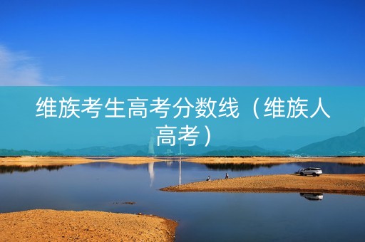 维族考生高考分数线（维族人高考）