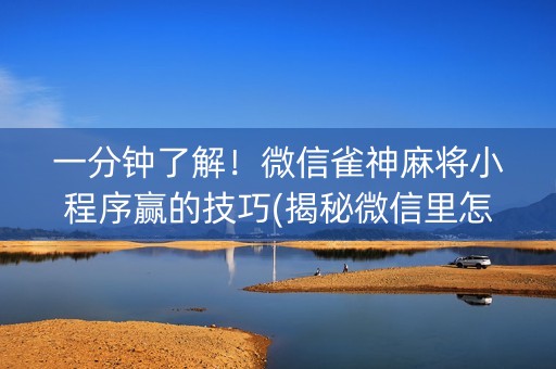 一分钟了解！微信雀神麻将小程序赢的技巧(揭秘微信里怎么容易赢)