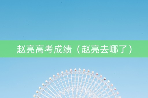 赵亮高考成绩（赵亮去哪了）