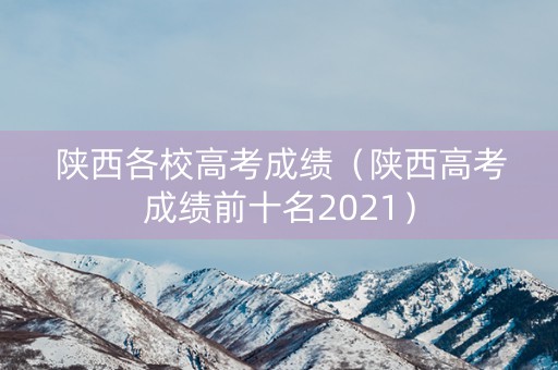 陕西各校高考成绩（陕西高考成绩前十名2021）